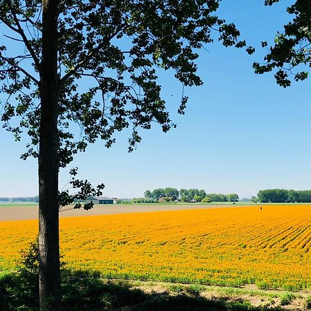 Slapen Bij De Zeeuwse Lala Bed and Breakfast IJzendijke Exteriör bild