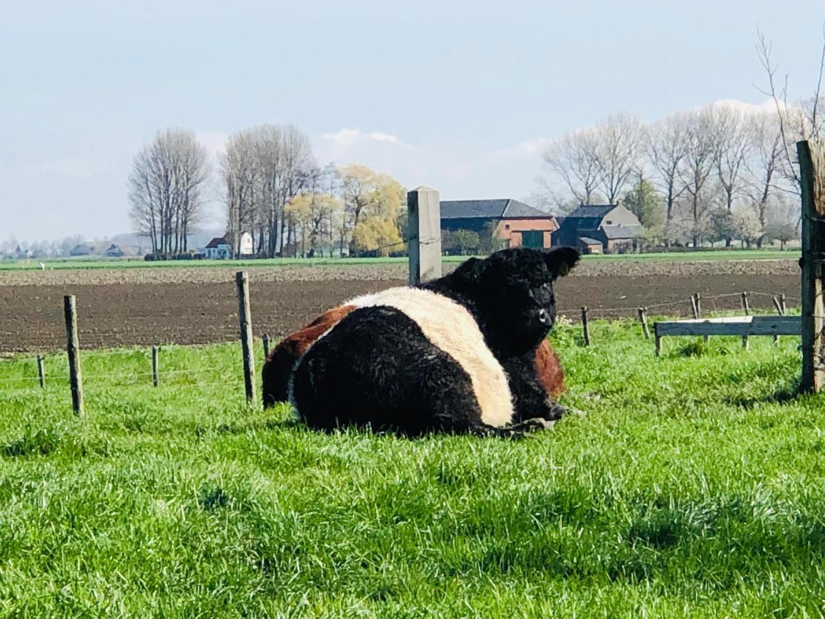 Slapen Bij De Zeeuwse Lala Bed and Breakfast IJzendijke Exteriör bild