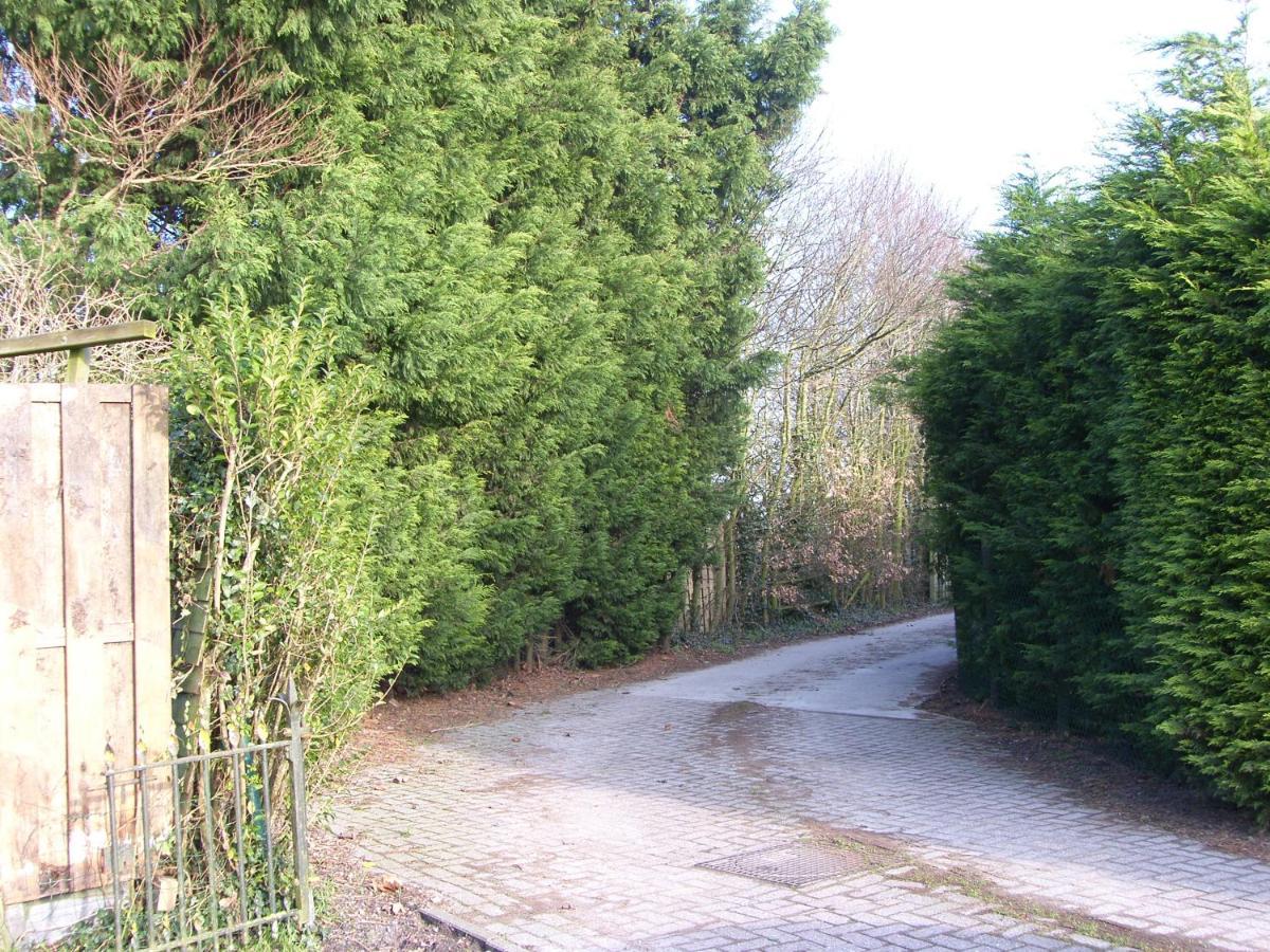 Slapen Bij De Zeeuwse Lala Bed and Breakfast IJzendijke Exteriör bild