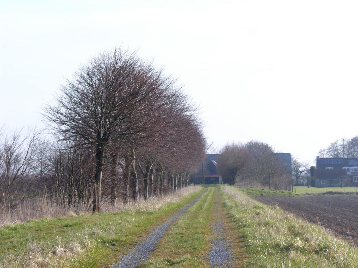 Slapen Bij De Zeeuwse Lala Bed and Breakfast IJzendijke Exteriör bild