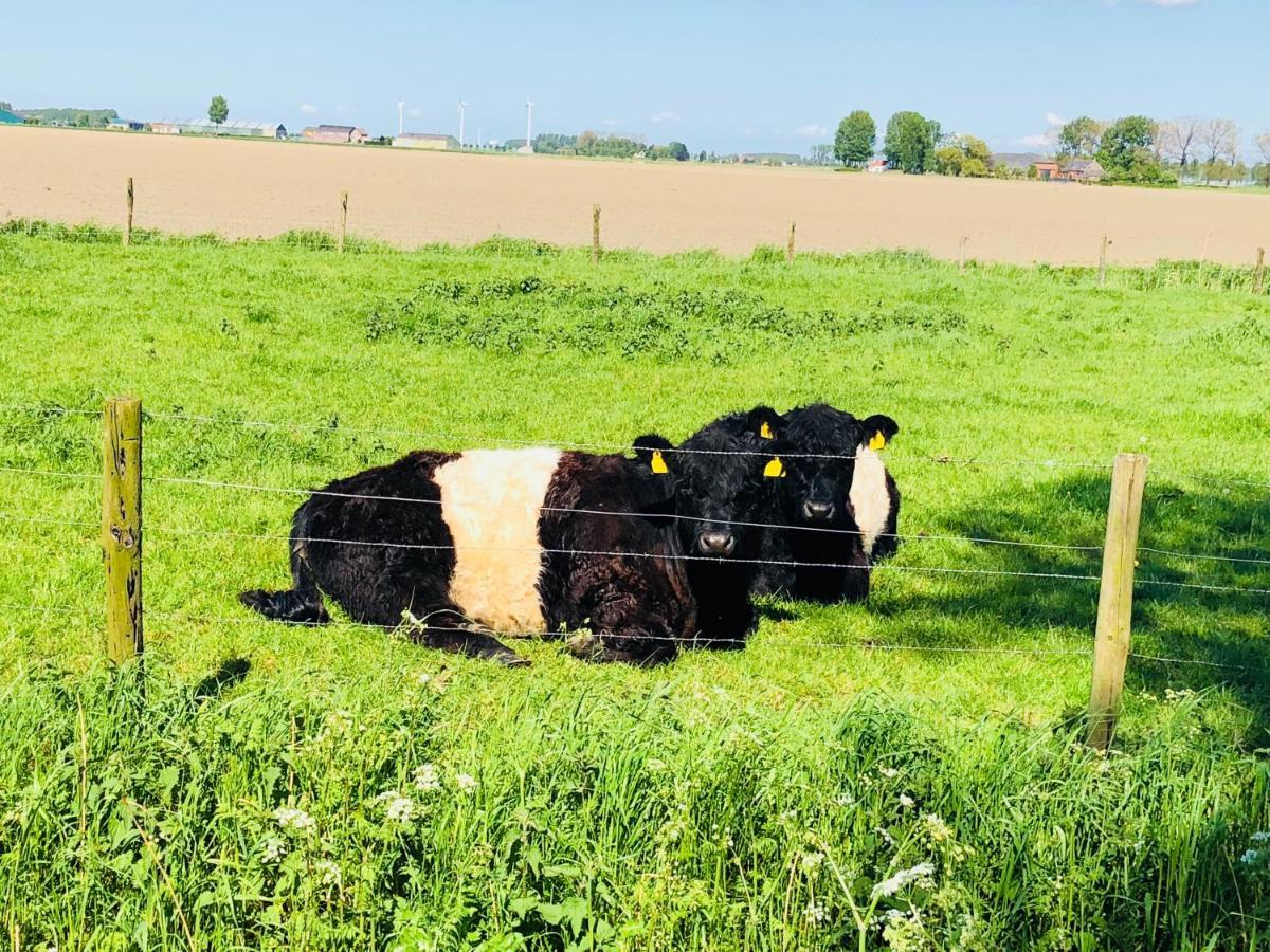 Slapen Bij De Zeeuwse Lala Bed and Breakfast IJzendijke Exteriör bild