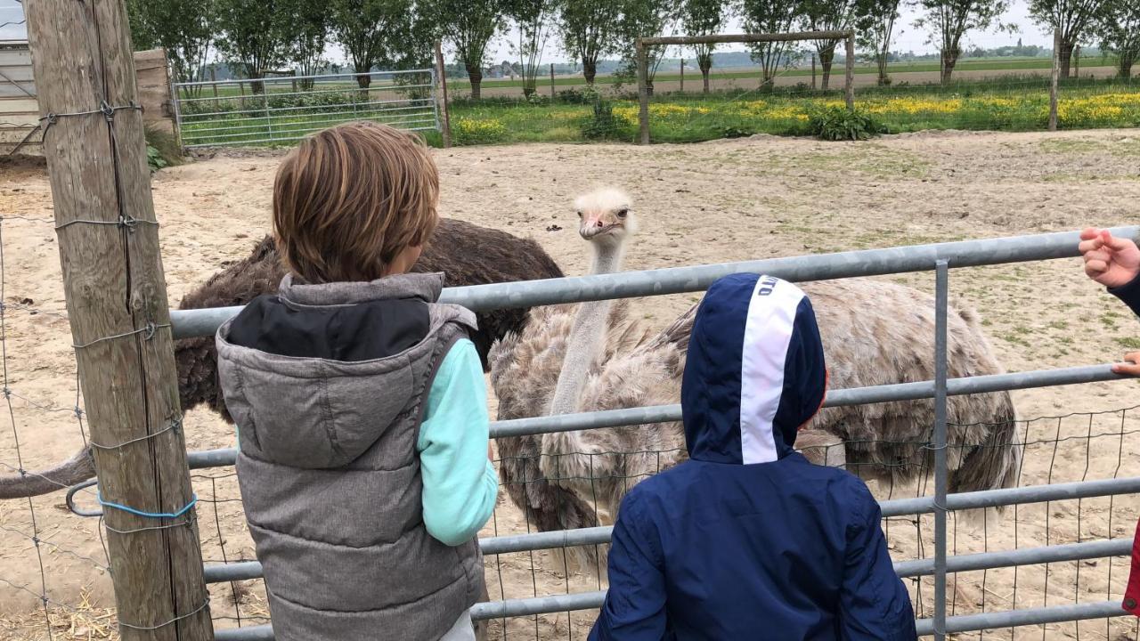 Slapen Bij De Zeeuwse Lala Bed and Breakfast IJzendijke Exteriör bild