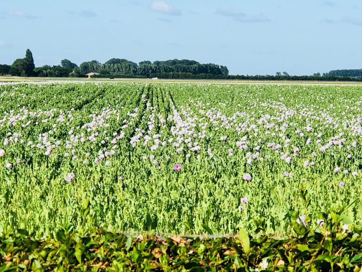 Slapen Bij De Zeeuwse Lala Bed and Breakfast IJzendijke Exteriör bild